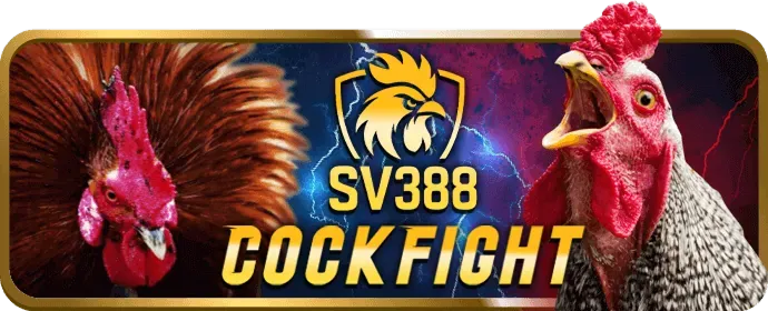 Chương trình VIP Sbotop Bet