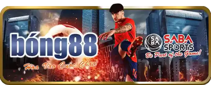 Các kênh liên hệ hỗ trợ của sbotop bet